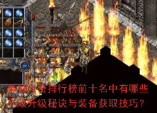 �����������а�ǰʮ��������Щ��Ч�����ؾ���װ����ȡ���ɣ�