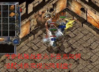 ����˽��ս�������԰���δ��似��ʵ����緭�̣�