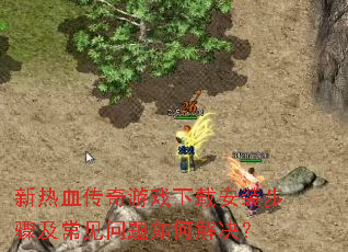 ����Ѫ������Ϸ���ذ�װ���輰����������ν����