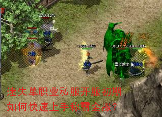 ��ʧ��ְҵ˽������������ο������ֳư�ȫ����