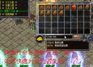 ��Ѫ����˽���¿�����������ο���������ռ�Ȼ���