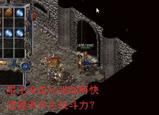 �����ϻ�˽����ο���������ɫս������