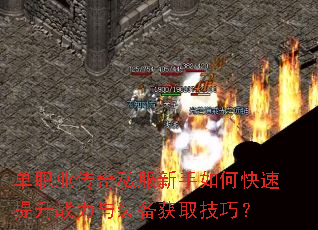 ��ְҵ����˽��������ο�������ս����װ����ȡ���ɣ�