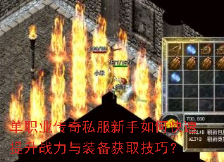 ��ְҵ����˽��������ο�������ս����װ����ȡ���ɣ�