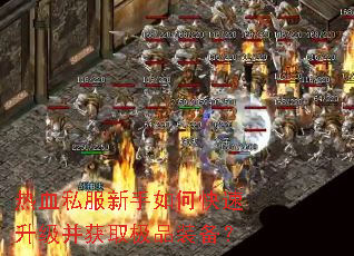 ��Ѫ˽��������ο�����������ȡ��Ʒװ����