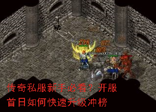 ����˽�����ֱؿ�������������ο����������