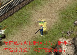 ����˽�������������ţ�������θ�Ч�������ȡ����װ����