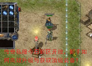 ����˽�������������ţ�������θ�Ч�������ȡ����װ����