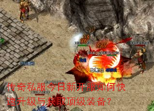 ����˽�������¿�����ο����������ȡ����װ����