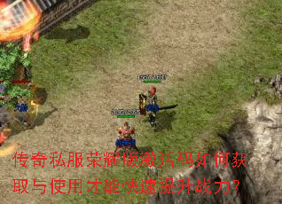 ����˽����ҫ�漤������λ�ȡ��ʹ�ò��ܿ�������ս����