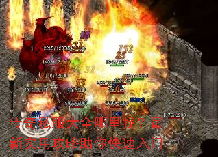 ����˽����ȫ�����ң�����ʵ�ù��������������