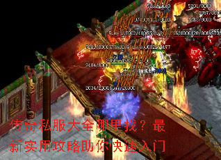 ����˽����ȫ�����ң�����ʵ�ù��������������