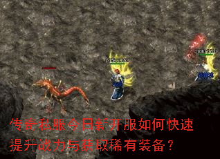 ����˽�������¿�����ο�������ս�����ȡϡ��װ����