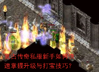 ���Ŵ���˽��������ο�������������򱦼��ɣ�