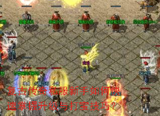 ���Ŵ���˽��������ο�������������򱦼��ɣ�