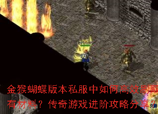 �������汾˽������θ�Чˢȡϡ�в��ϣ�������Ϸ���׹��Է�����