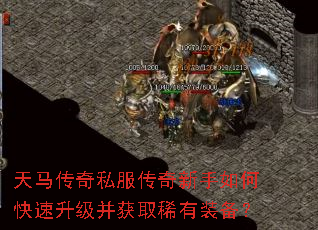 ��������˽������������ο�����������ȡϡ��װ����