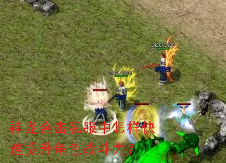 �����ϻ�˽������������������ɫս������