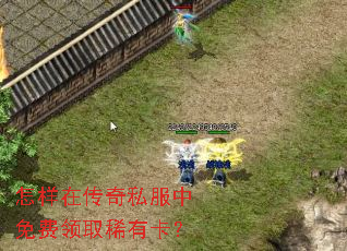 �����ڴ���˽���������ȡϡ�п���