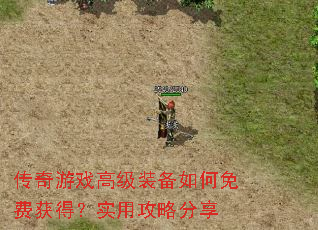 ������Ϸ�߼�װ�������ѻ�ã�ʵ�ù��Է���