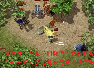 ʢ����˽�����ɰ洫������������⼯��������ο����������ȡϡ��װ����