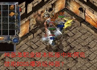 ������ְҵ�汾˽������θ�ЧˢBOSS������������