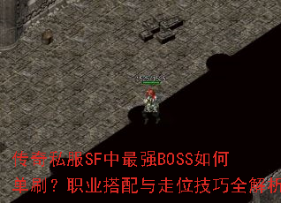 ����˽��SF����ǿBOSS��ε�ˢ��ְҵ��������λ����ȫ����