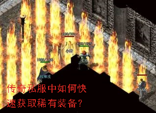 ����˽������ο��ٻ�ȡϡ��װ����