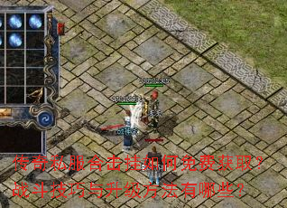 ����˽���ϻ��������ѻ�ȡ��ս��������������������Щ��