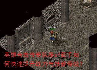 Ӣ�ۺϻ�����˽��sf������ο�������ս���뼼�ܵȼ���