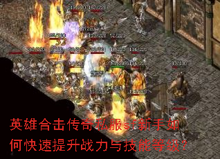 Ӣ�ۺϻ�����˽��sf������ο�������ս���뼼�ܵȼ���