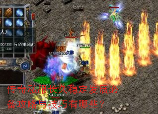 ����˽�������ȶ���չ�ر������뼼������Щ��