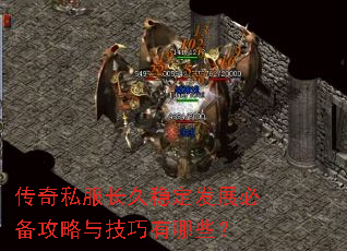 ����˽�������ȶ���չ�ر������뼼������Щ��