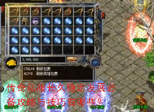 ����˽�������ȶ���չ�ر������뼼������Щ��