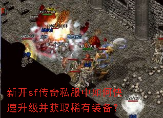 �¿�sf����˽������ο�����������ȡϡ��װ����