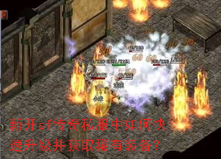 �¿�sf����˽������ο�����������ȡϡ��װ����