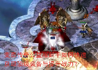 ��̬���湫���������ο��ٻ�ȡ����װ��������ս����