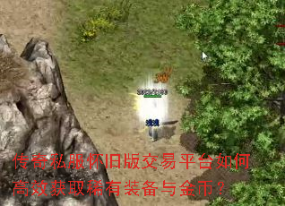 ����˽�����ɰ潻��ƽ̨��θ�Ч��ȡϡ��װ�����ң�