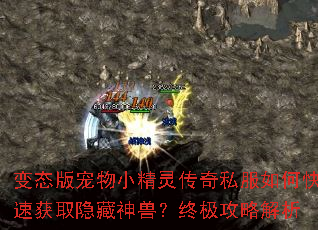 变态版宠物小精灵传奇私服如何快速获取隐藏神兽?终极攻略解析 变态版宠物小精灵传奇私服如何快速获取隐藏神兽?终极攻略解析