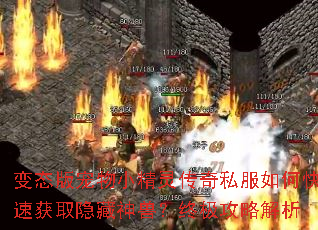 变态版宠物小精灵传奇私服如何快速获取隐藏神兽?终极攻略解析 变态版宠物小精灵传奇私服如何快速获取隐藏神兽?终极攻略解析