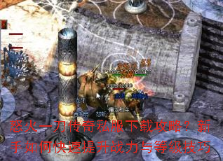 ŭ��һ������˽�����ع��ԣ�������ο�������ս����ȼ�����