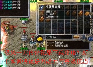 ŭ��һ������˽�����ع��ԣ�������ο�������ս����ȼ�����