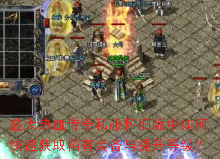 ʢ����Ѫ����˽�����ɰ�����ο��ٻ�ȡϡ��װ���������ȼ���