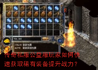 ����˽������������ο��ٻ�ȡϡ��װ������ս����