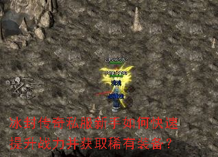 ���⴫��˽��������ο�������ս������ȡϡ��װ����