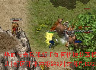 ��Ѫ����˽��������ο��ٻ�ȡ��Ʒװ���������ɽ���|սʿְҵPK��ʤ�ؾ�|���������弶·��|��ʦˢBOSSվλ����|�ŶӸ���ְҵ�ֹ�ȫ����