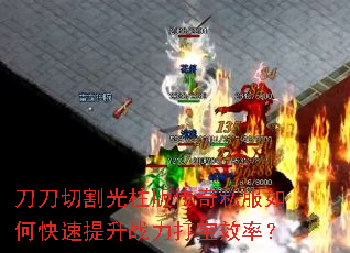 �����и�����洫��˽����ο�������ս����Ч�ʣ�