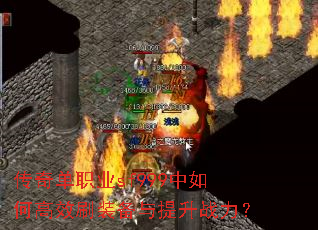 ���浥ְҵsf999����θ�Чˢװ��������ս����