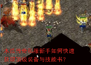 ľ�ϴ���˽��������ο��ٻ�ȡ����װ���뼼���飿