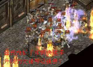 �ƴ���������ο�������ս��ͻ�Ƶȼ�ƿ����